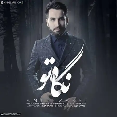 دانلود اهنگ امین زارعی نگاه تو