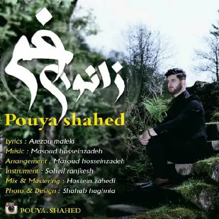 دانلود اهنگ پویا شاهد زانوی غم