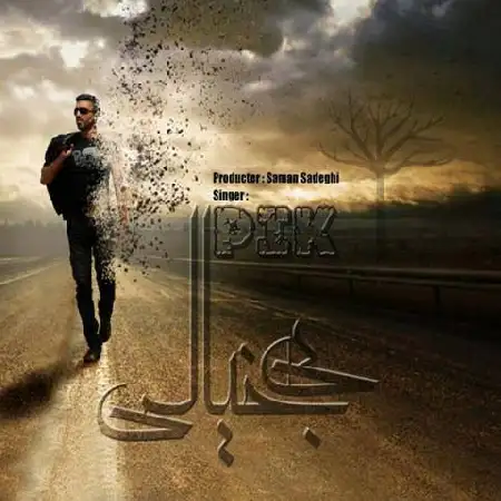 دانلود آلبوم تک اهنگ ها از PIK