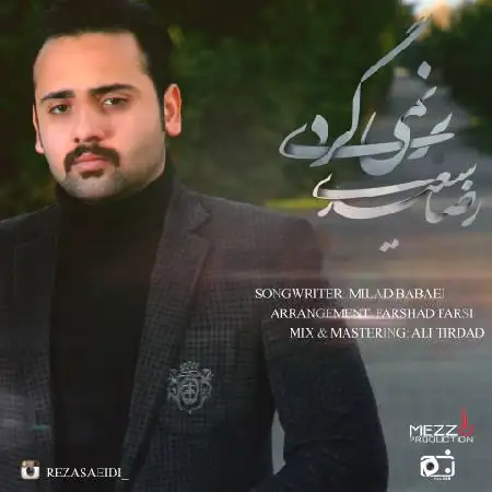 دانلود اهنگ رضا سعیدی برنمیگردی