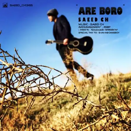 دانلود آلبوم تک اهنگ ها از سعید سی اچ