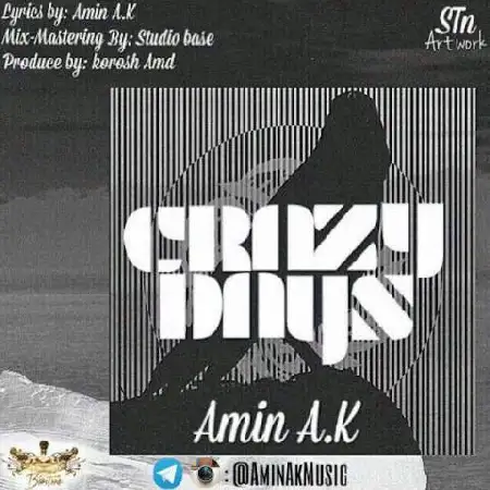 دانلود اهنگ امین ای کی روزهای دیوونه