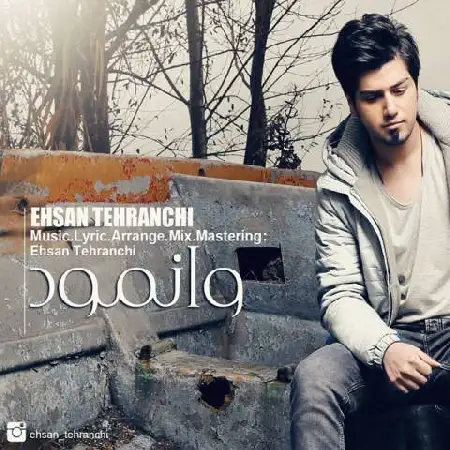 دانلود اهنگ احسان تهرانچی وانمود
