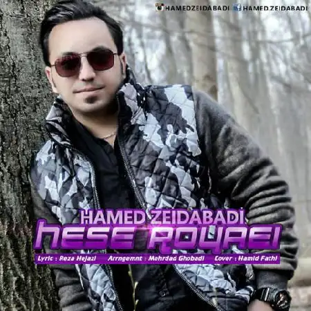 دانلود اهنگ حامد زیدآبادی حس رویایی