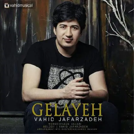 دانلود اهنگ وحید جعفرزاده گلایه