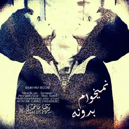 دانلود اهنگ رضا ساجدی نمیخوام بدونه