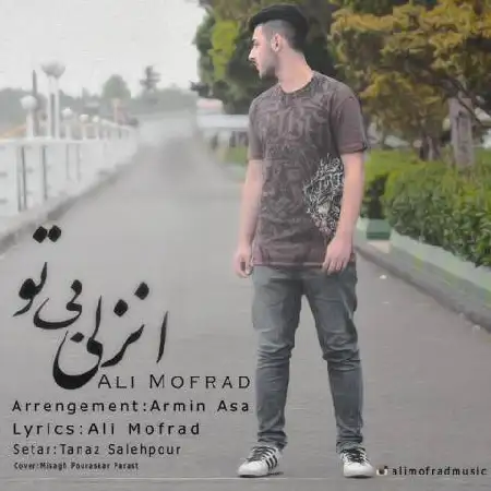 دانلود آلبوم تک اهنگ ها از علی مفرد