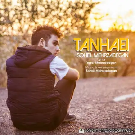 دانلود اهنگ سهیل مهرزادگان تنهایی