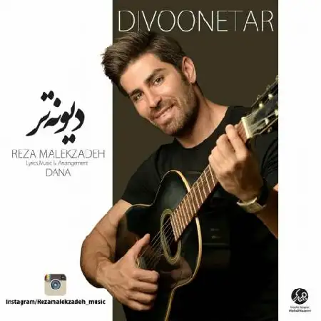 دانلود اهنگ رضا ملک زاده دیوونه تر