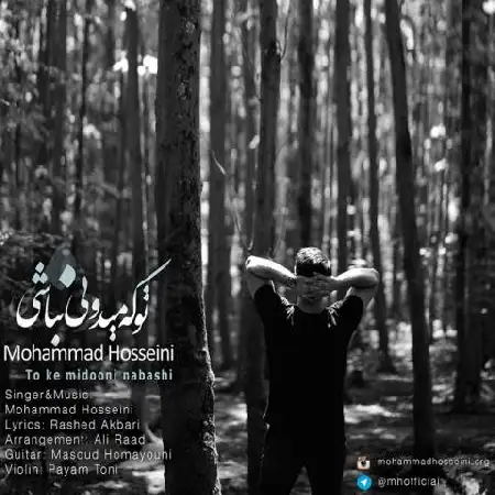 دانلود اهنگ محمد حسینی تو که میدونی نباشی