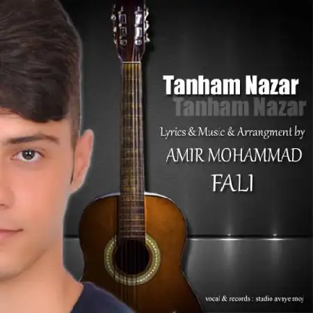 دانلود آلبوم تک اهنگ ها از امیرمحمد فالی