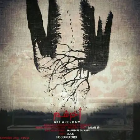 دانلود آلبوم تک اهنگ ها از ابوالفضل محمدیان و ساسان اس پی