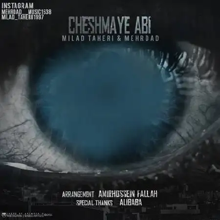 دانلود آلبوم تک اهنگ ها از میلاد طاهری و مهرداد