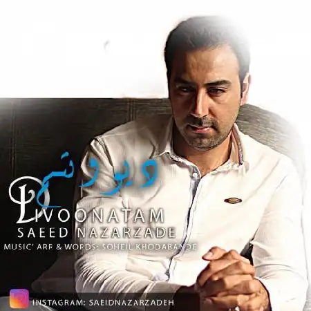 دانلود اهنگ سعید نظرزاده دیوونتم