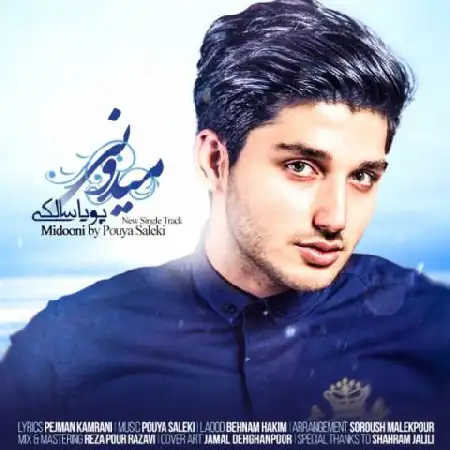 دانلود اهنگ پویا سالکی میدونی