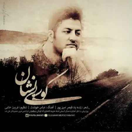 دانلود اهنگ پویا بیاتی کوی بی نشان