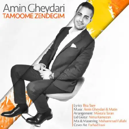 دانلود اهنگ امین قیداری تمومه زندگیم