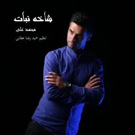 دانلود اهنگ محمد علی شاخه نبات