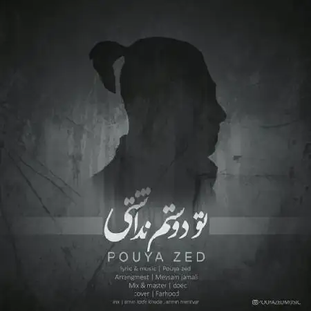دانلود اهنگ پویا زد تو دوستم نداشتی