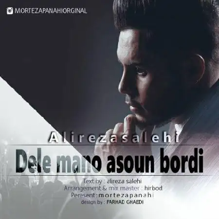 دانلود اهنگ علیرضا صالحی دل منو آسون بردی