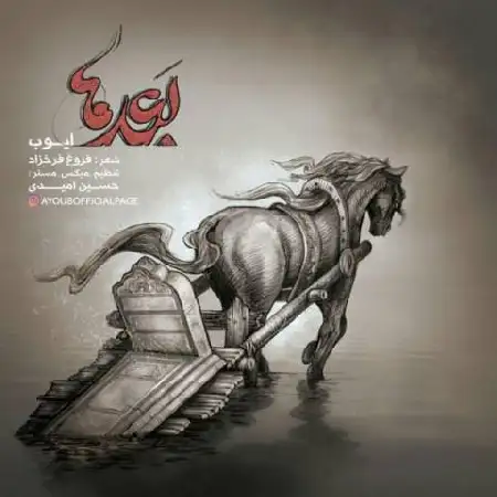 دانلود اهنگ ایوب بعد ها