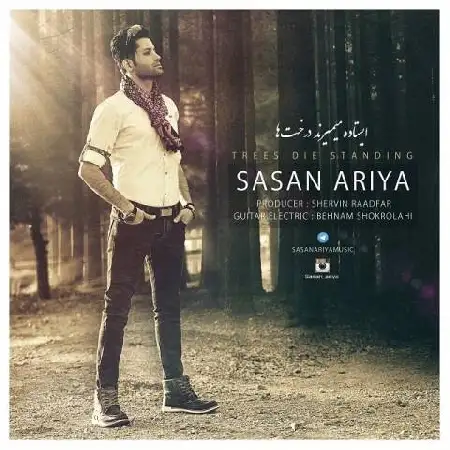 دانلود اهنگ ساسان آریا ایستاده میمیرند درخت ها