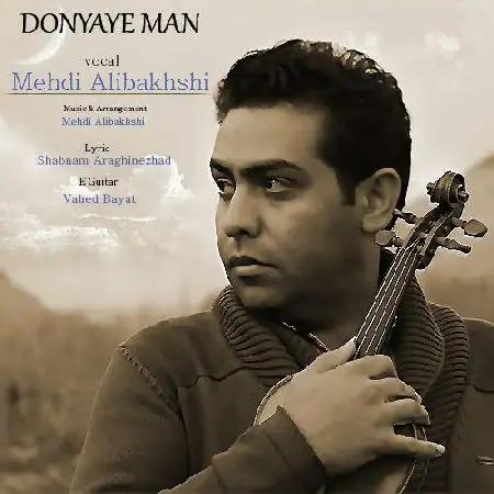 دانلود اهنگ مهدی علی بخشی دنیای من