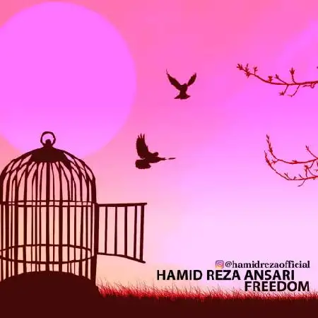 دانلود اهنگ حمیدرضا انصاری آزادی