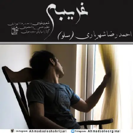 دانلود اهنگ احمد سلو غریبم