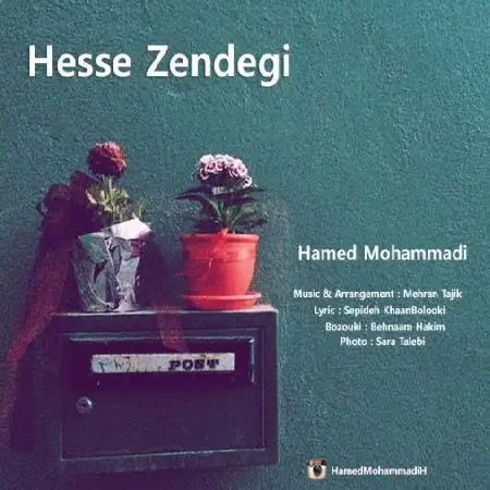 دانلود اهنگ حامد محمدی حس زندگی