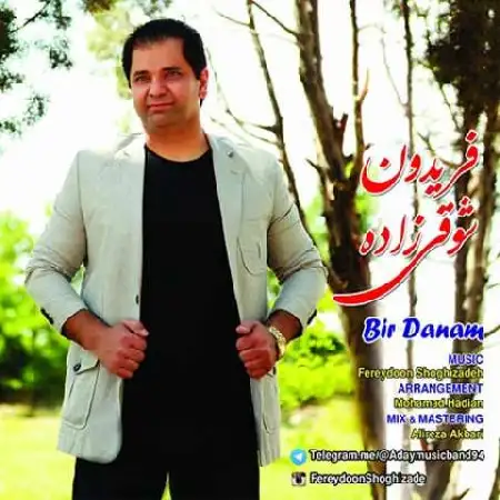 دانلود اهنگ فریدون شوقی زاده بیردنم