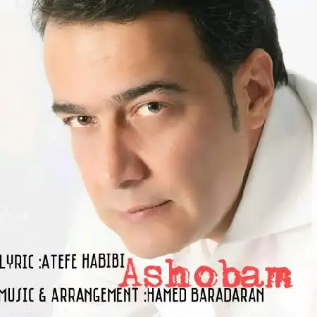 دانلود اهنگ مجتبی شاه علی آشوبم