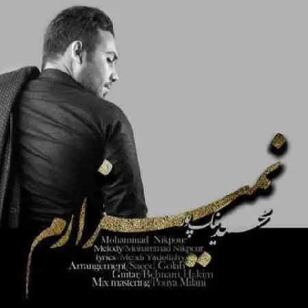 دانلود آلبوم تک اهنگ ها از محمد نیکپور