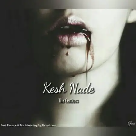 دانلود آلبوم تک اهنگ ها از The Geniuss