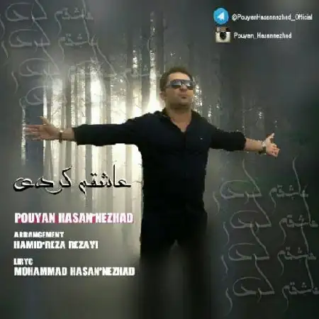 دانلود آلبوم تک اهنگ ها از پویان حسن نژاد