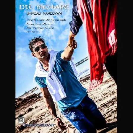 دانلود اهنگ شیرزاد مردوانی دل بیچاره