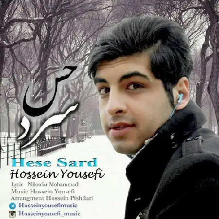 دانلود اهنگ حسین یوسفی حس سرد