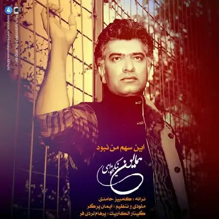 دانلود اهنگ همایون نیکخواهی این سهم من نبود