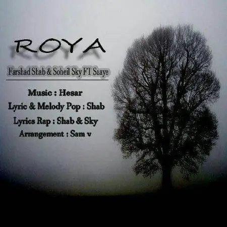 دانلود اهنگ فرشاد شب و سهیل اسکای رویا