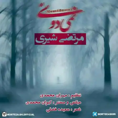 دانلود اهنگ مرتضی شیری نمی دونی