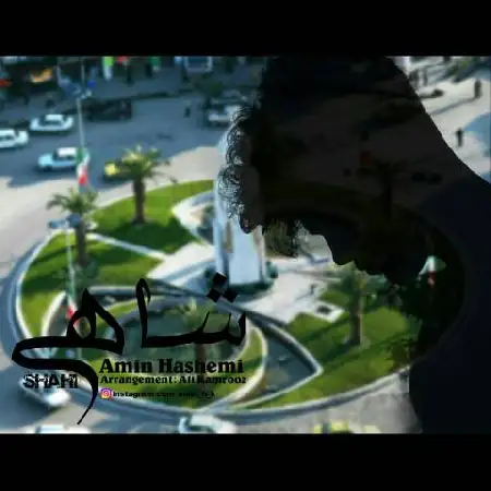 دانلود آلبوم تک اهنگ ها از امین هاشمی