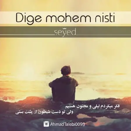 دانلود اهنگ سید دیگه مهم نیستی