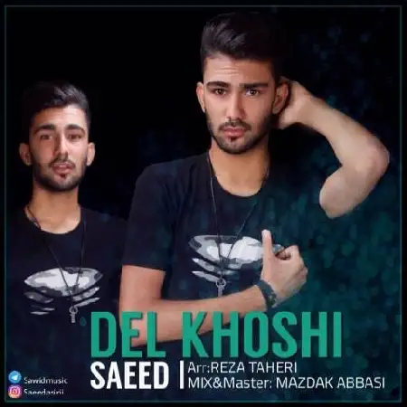 دانلود اهنگ سعید اسیری دلخوشی