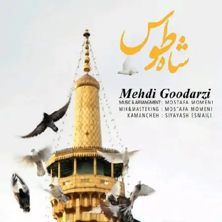 دانلود اهنگ مهدی گودرزی شاه طوس
