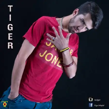 دانلود اهنگ مجید تایگر جمع و ضرب