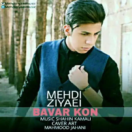 دانلود اهنگ مهدی ضیاعی باور کن