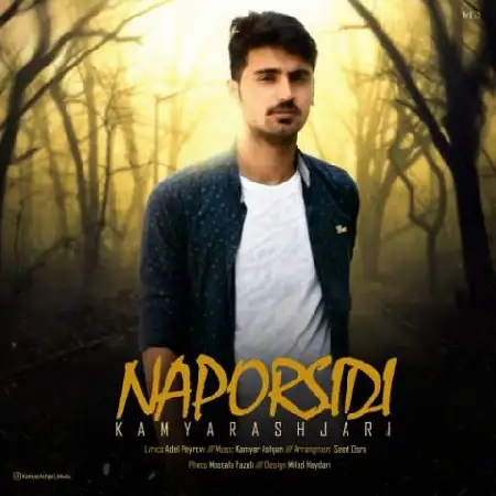 دانلود اهنگ کامیار اشجری نپرسیدی