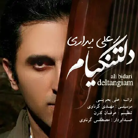 دانلود اهنگ علی بیداری دلتنگیام