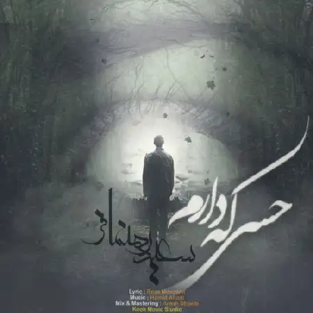 دانلود اهنگ سعید رهنمافر حسی که دارم