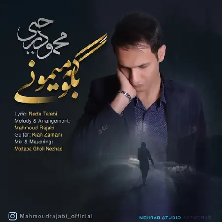 دانلود اهنگ محمود رجبی بگو که میمونی